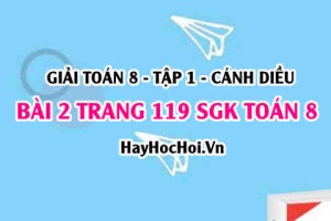 Giải bài 2 trang 119 Toán 8 Tập 1 SGK Cánh Diều